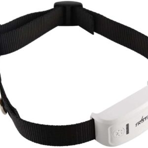 GPS pour animaux de compagnie pour le suivi des animaux de compagnie en temps réel chiens et chats – Image 5