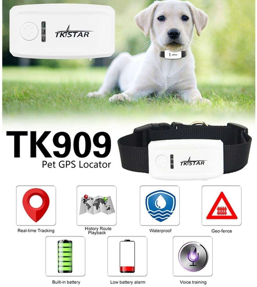 GPS pour animaux de compagnie en temps réel chiens et chats